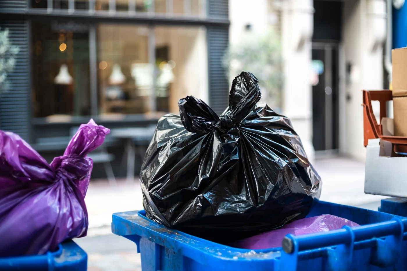 Outdoor household bins